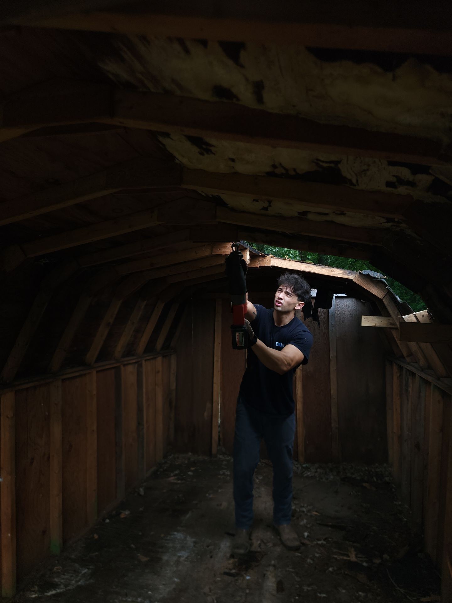 Person using power tool to remove wooden ceiling inside a shed or small structure.
